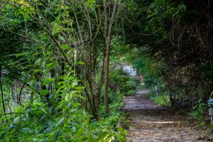 Colonial Crest Hiking Trails